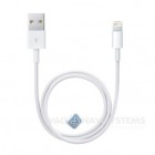 Recharge + synchronization Cable - USB - iPod / iPhone / iPad - Lightning